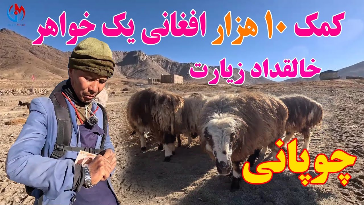 چوپانی - کمک 10 هزار افغانی به خالقداد زیارت