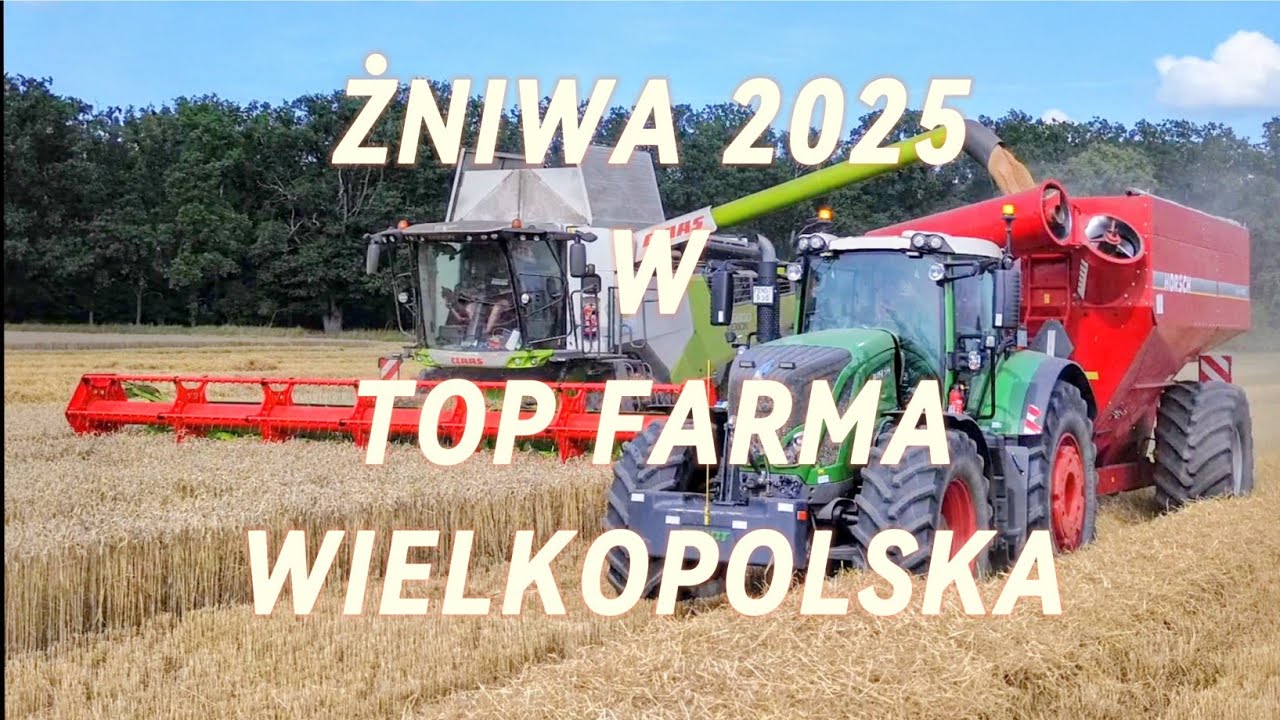 🌾ŻNIWA PSZENICY 2025 😎 NA WIELKĄ SKALE W 🔥TOP FARMS WIELKOPOLSKA