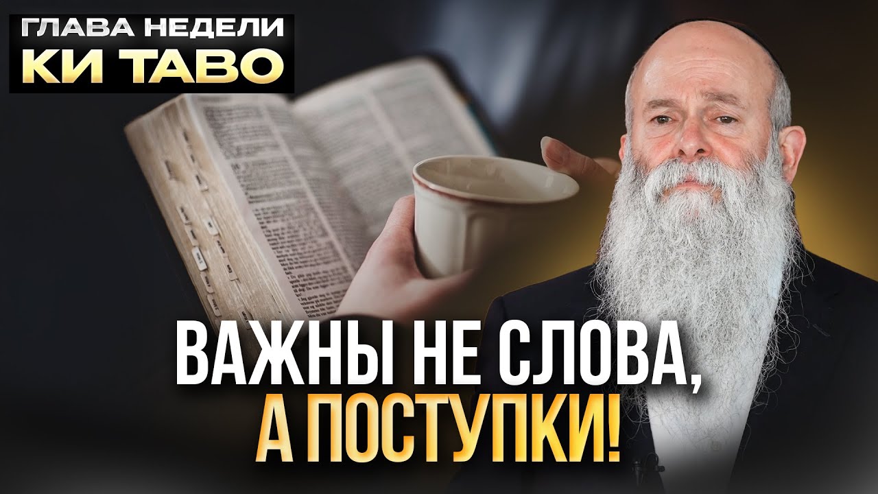 Как обеспечить себе удачный год? Глава недели &laquo;Ки Таво&raquo;. Рав Шмуэль Каминецкий