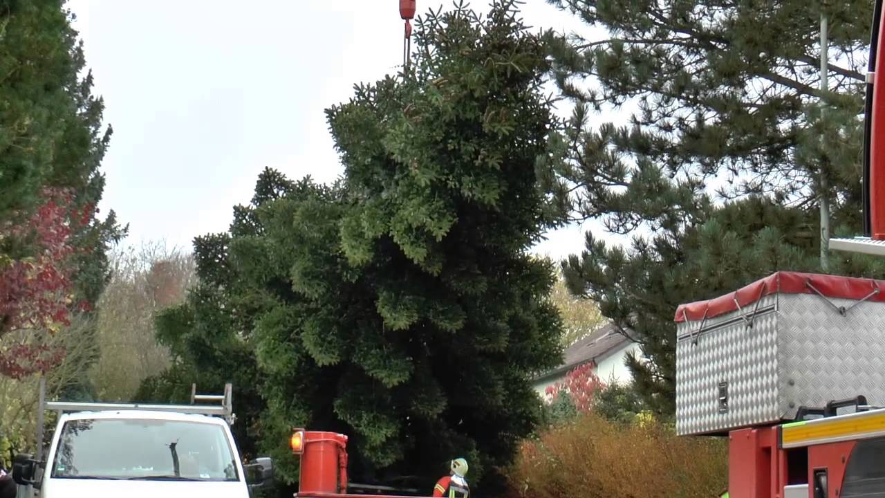 DONAU 3 FM Weihnachtsbaum 2014