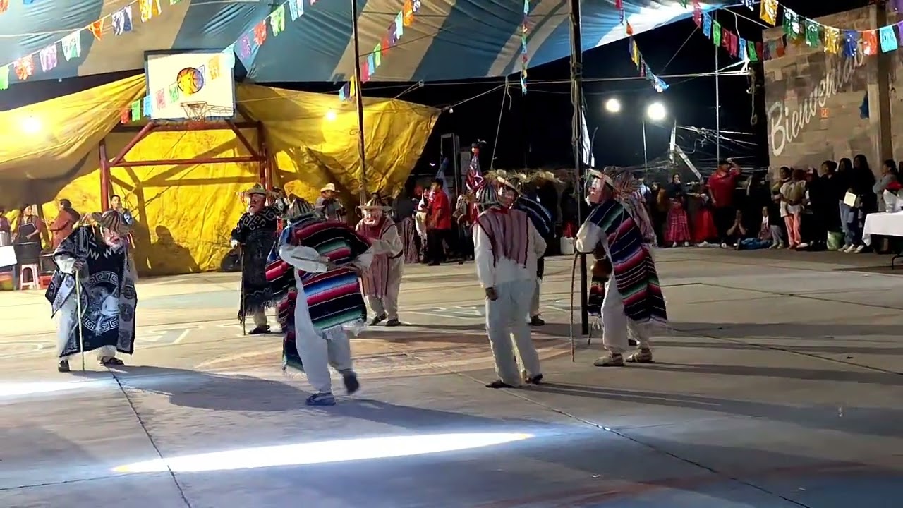 Danza de los viejitos