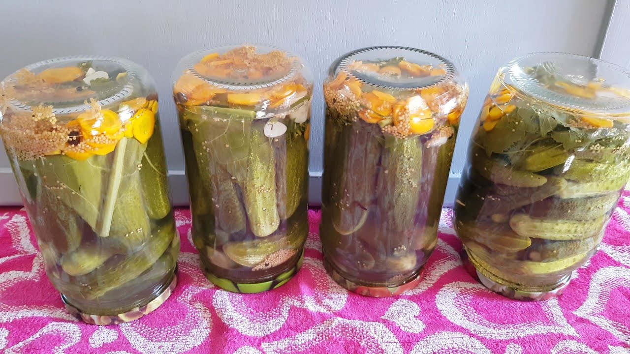 🌹Маринуем огурцы...САМЫЙ ЛУЧШИЙ РЕЦЕПТ!!!  Куры пробуют тёртые кабачки))