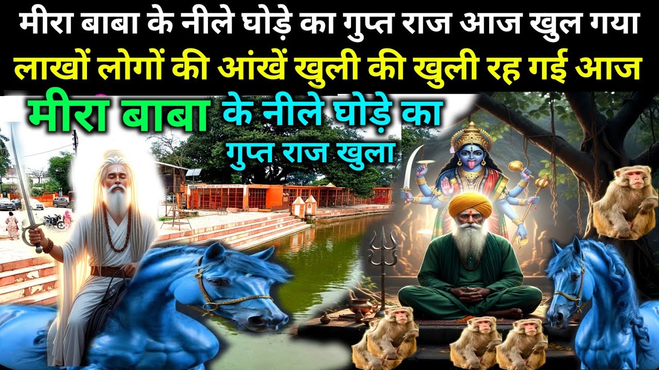 मीरा बाबा पहलवान के नीले घोड़े का गुप्त राज खुला अमरोहा - Meera Baba ke Neele ghode ka Raaj Amroha