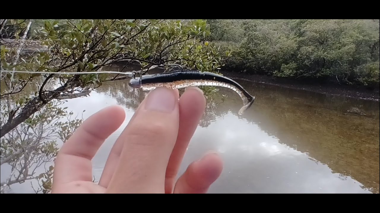 fishing sand bars for bream and flathead!