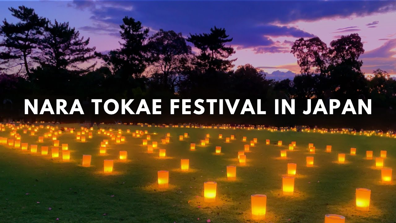 Nara Tokae Matsuri - One of the most beautiful summer festivals in Japan