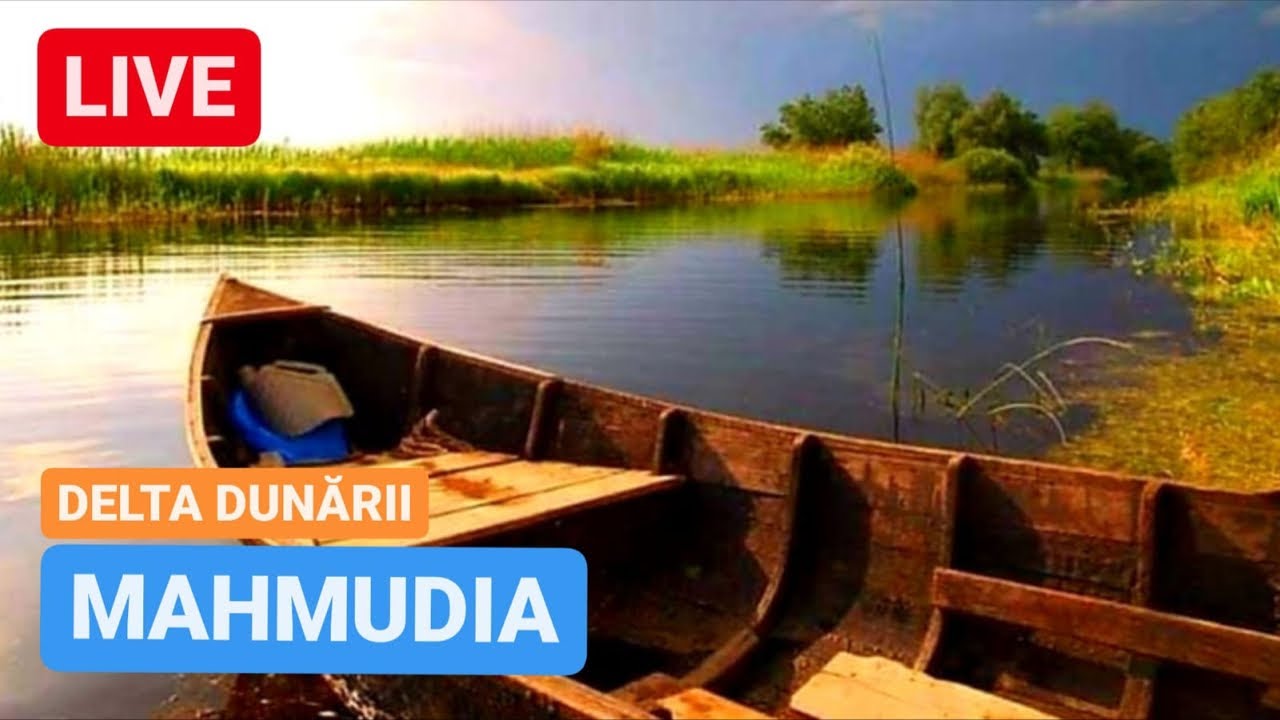 🔴 LIVE din MAHMUDIA - DELTA DUNĂRII