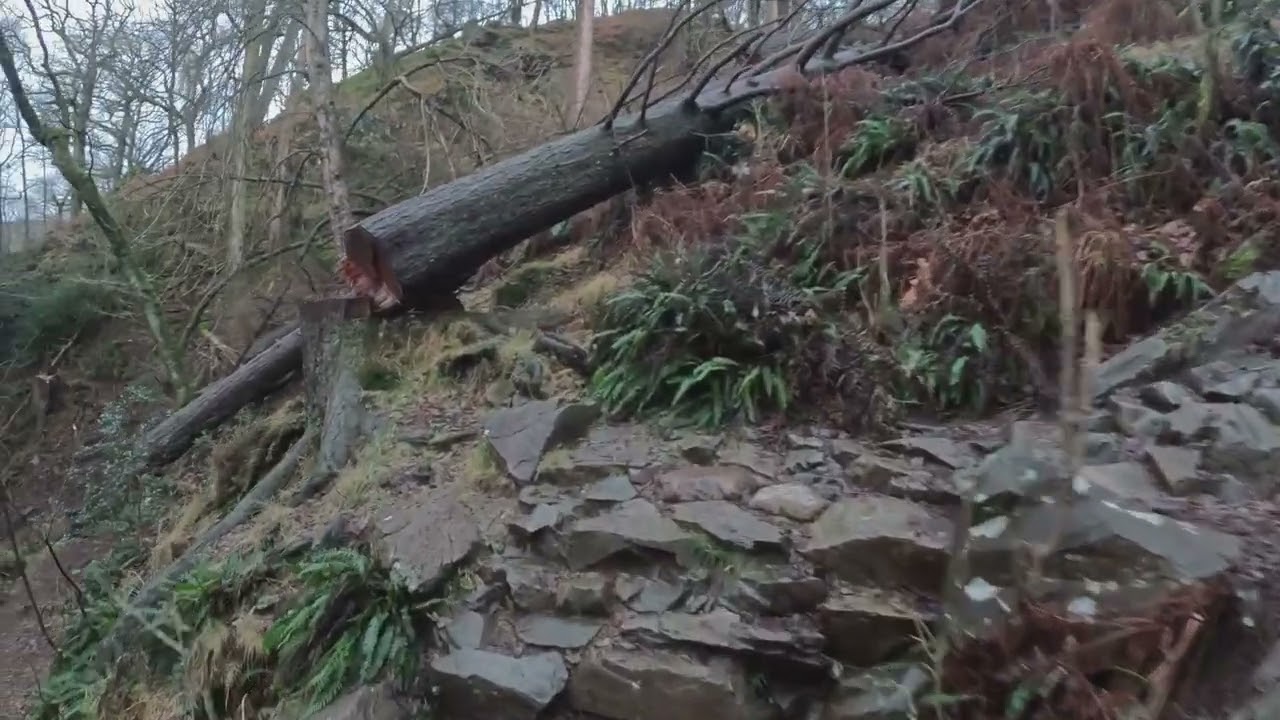 A Victorian Waterfall / Woodland Walk , The lakes Jan 2026