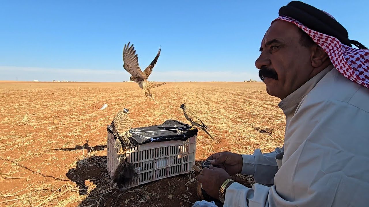 صيد الطير الحر في سوريا مهنه وهوايه لاتفارق قلوب محبيها  الصياد  اليوم يكشف عن طرق الصيد  وصعوباتها