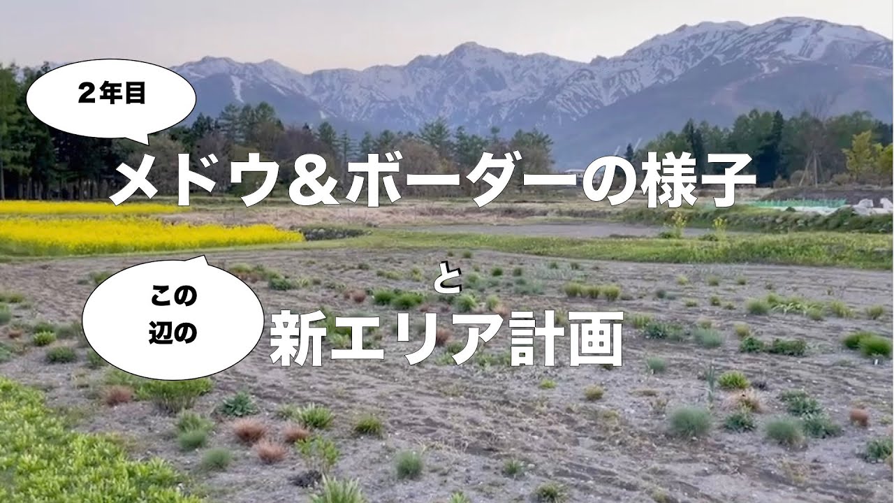 【２年目】メドウ＆ボーダーガーデンとこれからさらにエリアを広げます！【5月4日撮影】