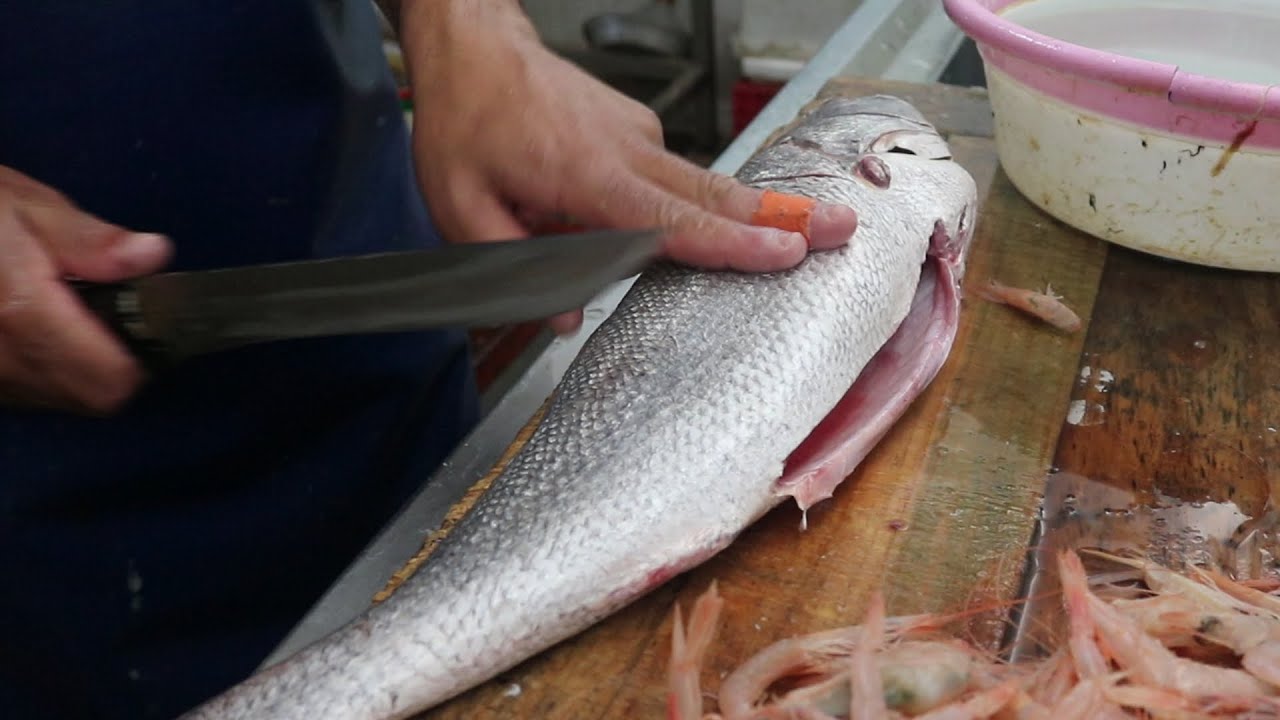 HOW TO : MEAGRE Fish Cleaning and Cutting Skills