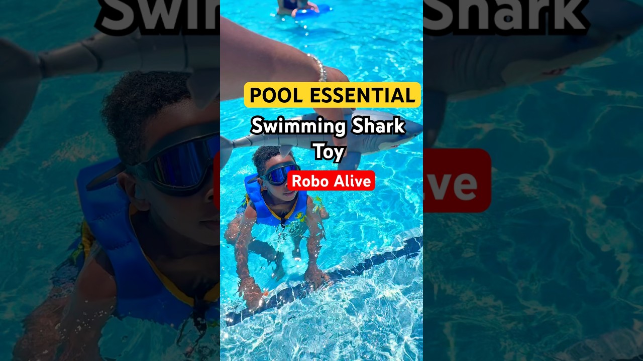 Robo Alive Swimming Shark Toy Review ❤️ 🦈 #roboalive #pooltoy @RoboAlive_ZURU