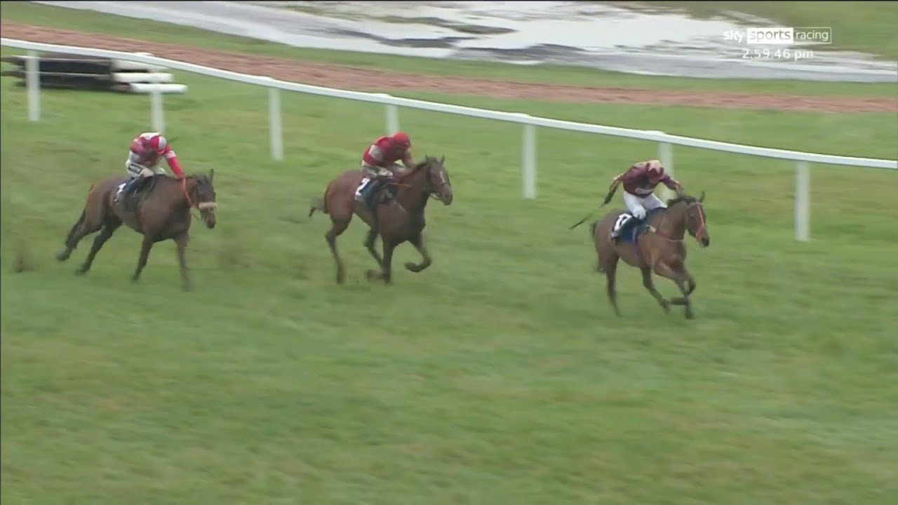 What a STAR! The Two Amigos battles to victory in the Coral Welsh Grand National at Chepstow!