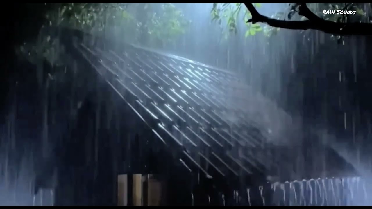 1 Jam Bersama Suara Hujan Dan Petir Pengantar Tidur, Tertidur Lebih Cepat Dan Lelap #rainsounds