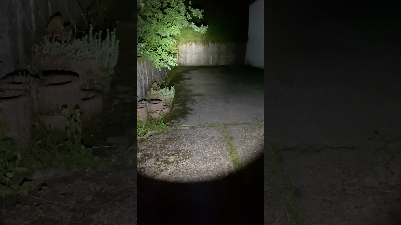 Outdoor test of the Fenix PD35R ACE 🔦 everydaycarry flashlight 