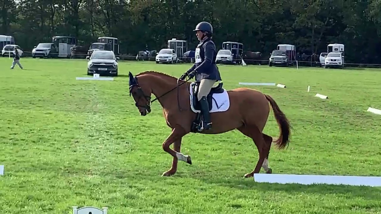 Sillan Clementine BE80 Tweseldown 11.10.25