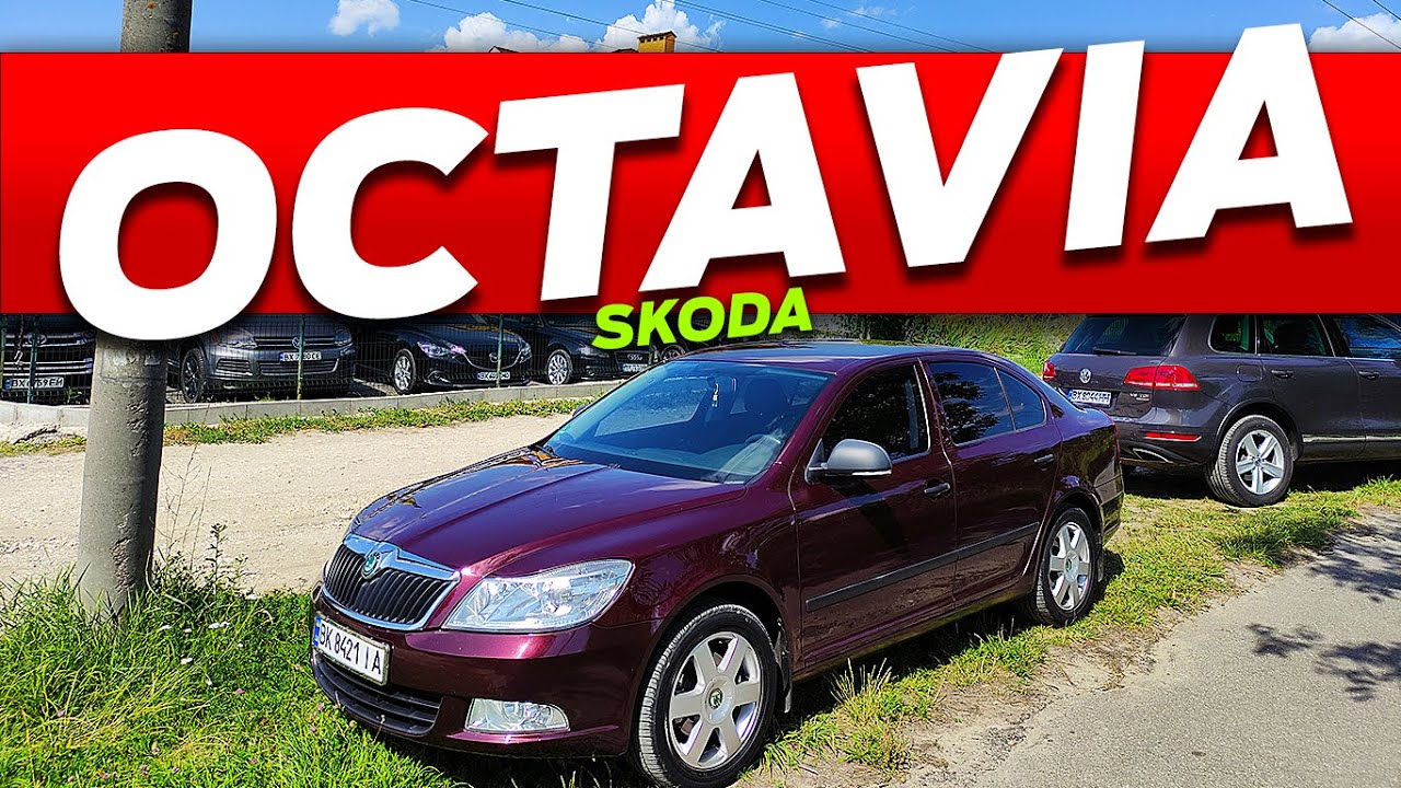 Автопідбір Skoda Octavia A5 діагностика кузову перевірка товщини ЛКП огляд салону та багажнику 😍