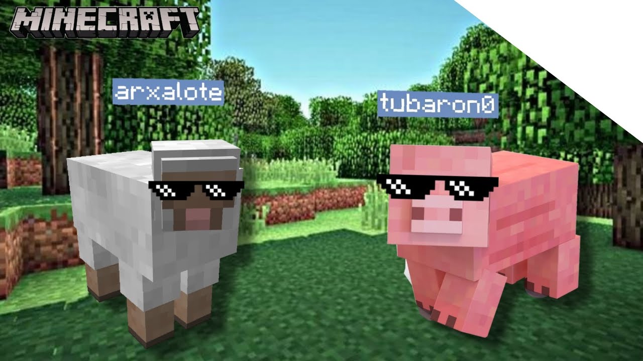 MINECRAFT, MAS a CADA MOB que A GENTE DERROTA nós se TRANSFORMAMOS!!