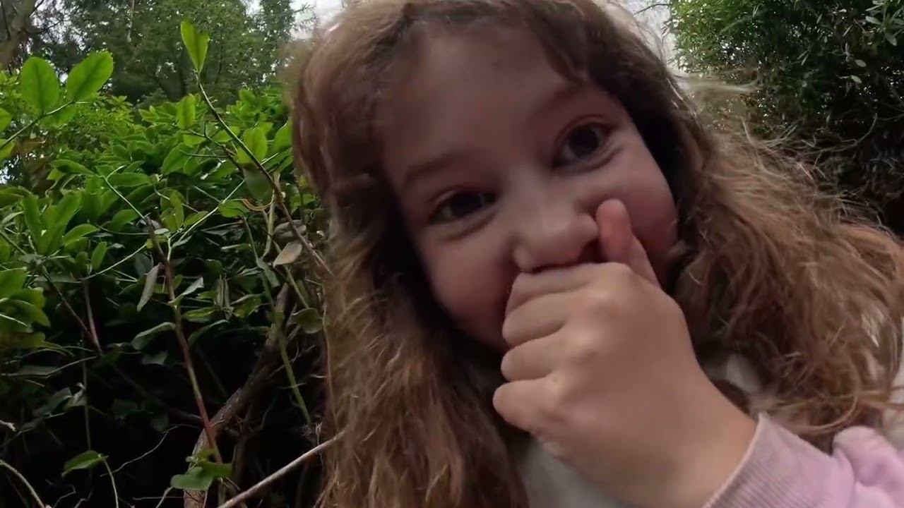 Luna&rsquo;s tour of Cragside Labyrinth #cragside #nationaltrust #northumberland