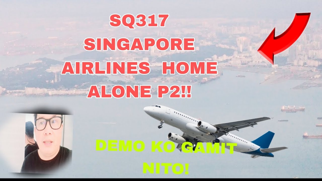 SQ 317 SINGAPORE AIRLINES HOME ALONE P2 