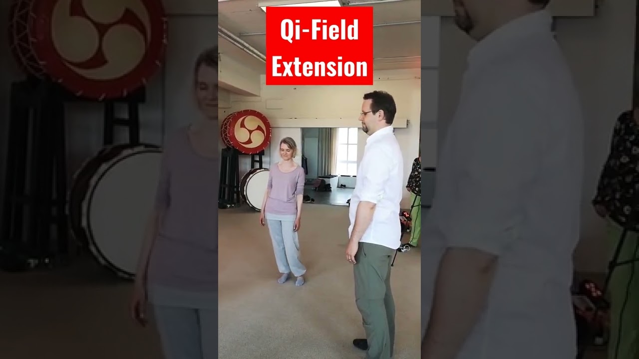 Qi Field Extension by Joachim Briem Germany