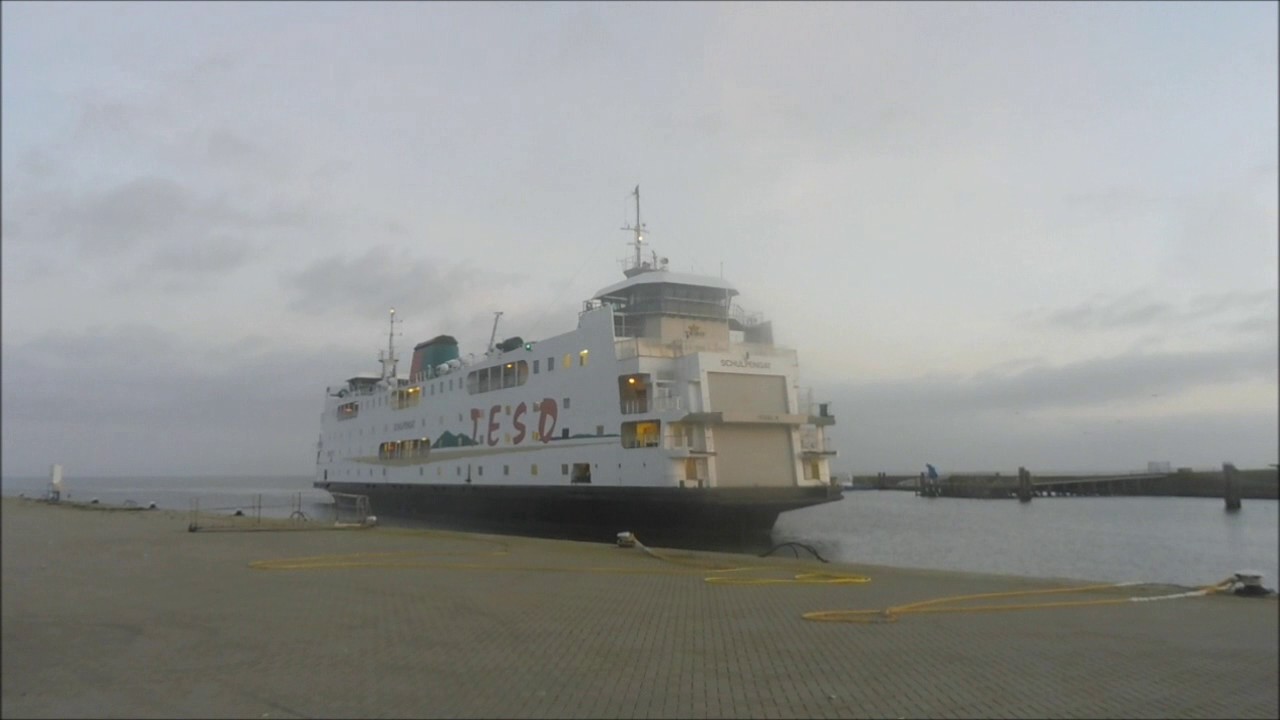 Schulpengat TESO Texel gaat naar NIOZ haven