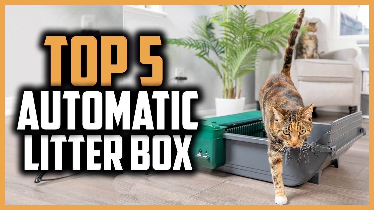 ✅Top 5 Best Automatic Litter Boxes of 2024