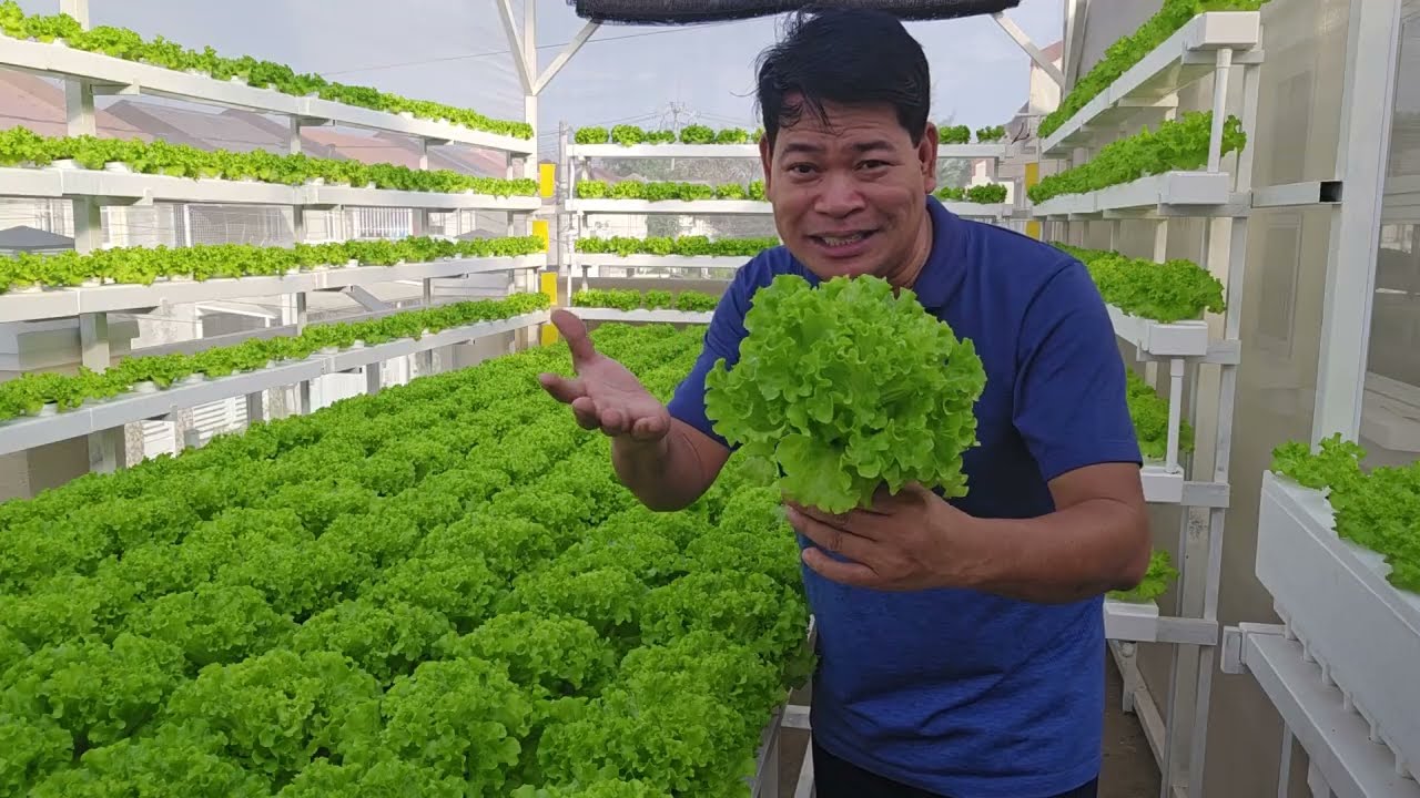 Farming is both Science and Skill: Ang pagsasaka ay pinagsamang Sensiya at Kakayahan