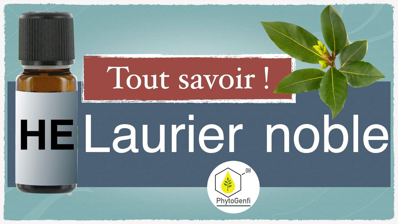 l'huile essentielle de laurier noble et ses utilisations