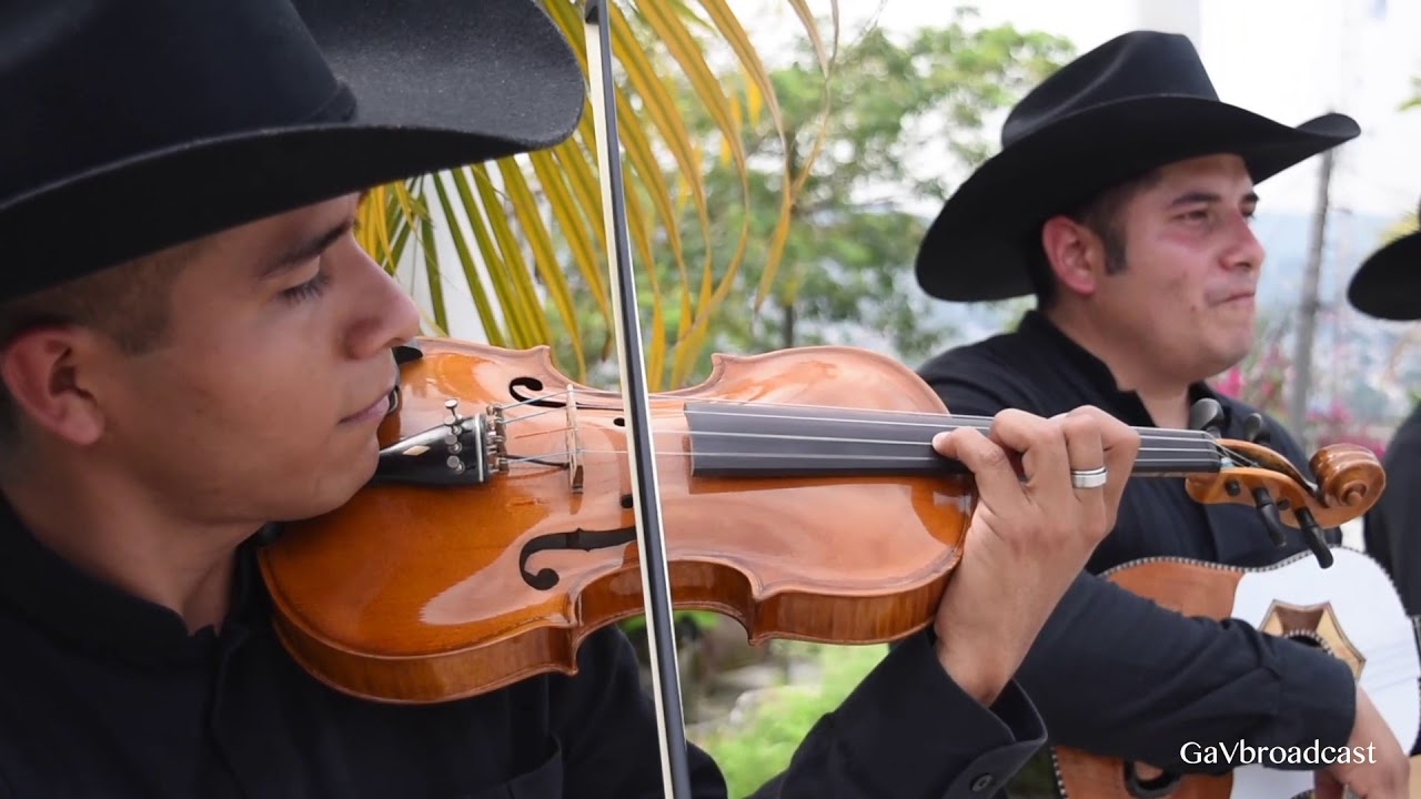 El Tr&iacute;o Alma Huapanguera de Tuxpan Ver. interpreta 