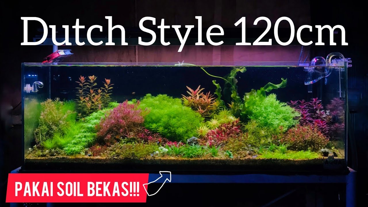 Dutch Aquascape 120cm | Pakai Soil Bekas | Step By Step Tutorial Dutch Style Aquascape