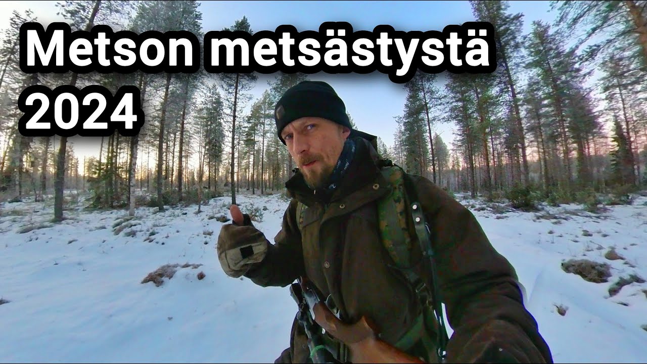 Metson kyttäysmetsästystä 2024