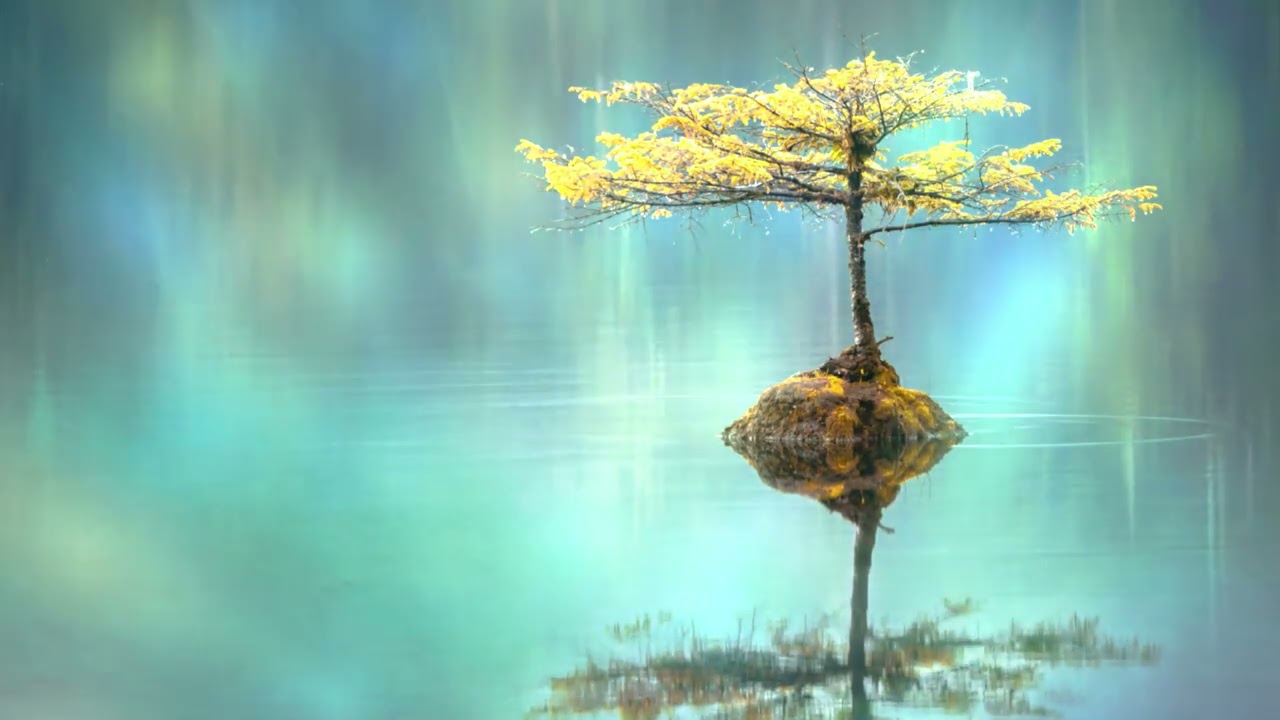 MUSICA TRANQUILA PARA ESTUDIAR | CALMA ABSOLUTA | PAZ | QUIETUD | QUIET MUSIC | STUDY | PEACE | CLAM