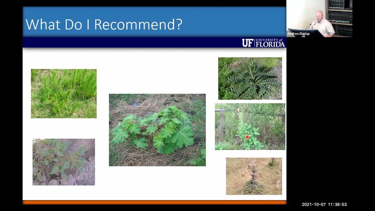 DuraCor Tank Mixes for Pasture Weed Control (Field Day Part 9 of 9)