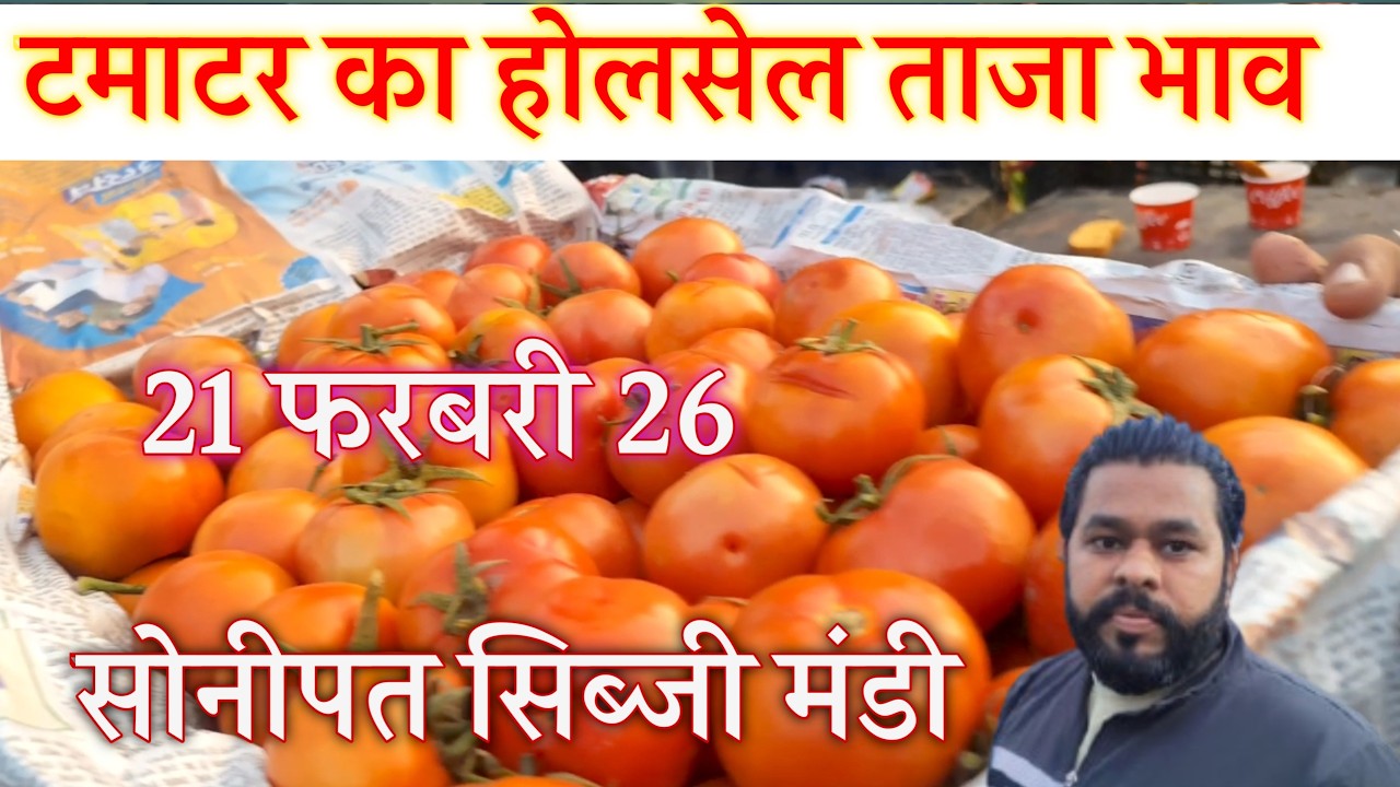 टमाटर का होलसेल ताजा भाव शॉप नंबर 50 सोनीपत सब्जी मंडी | 21 Feb  2026 Sonipat Tamatar Holsel Bhaw