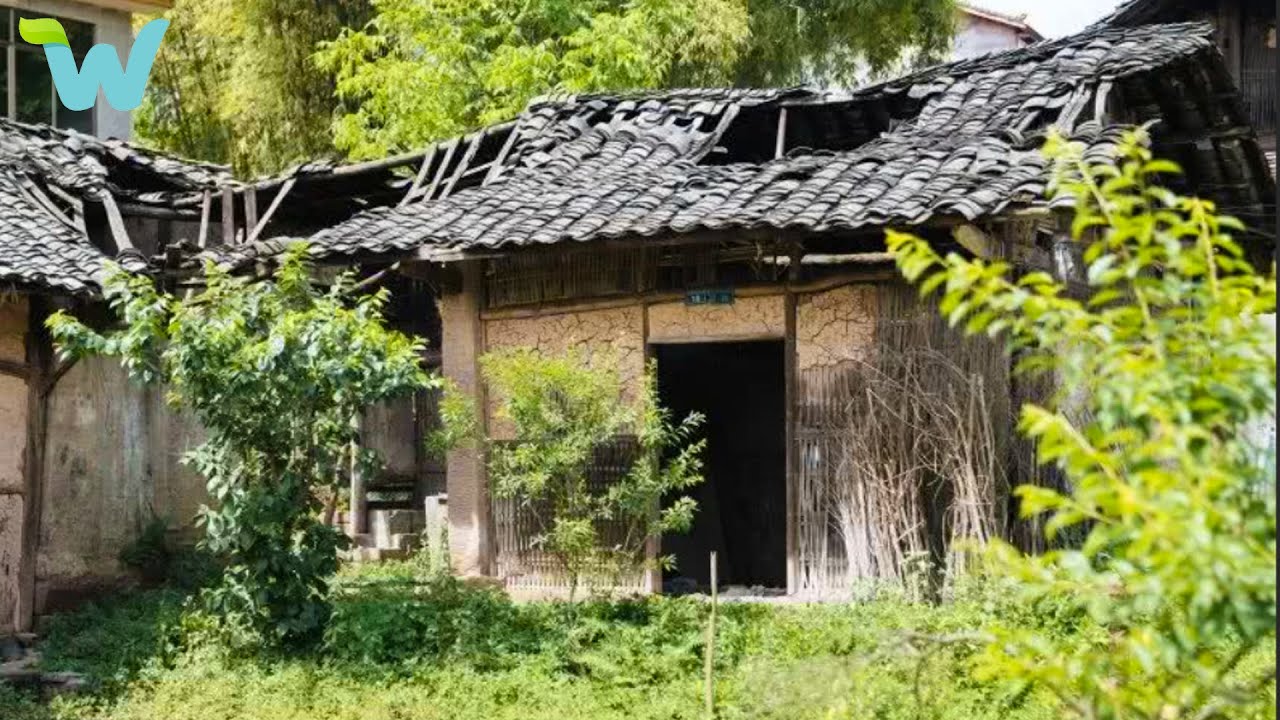 To test his limits, a boy renovate an abandoned house in the forest and survive alone