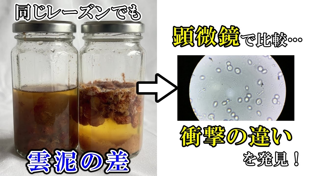 【自家製酵母】レーズン発酵種の“ある条件”を変えて比較…驚愕の発見⁉