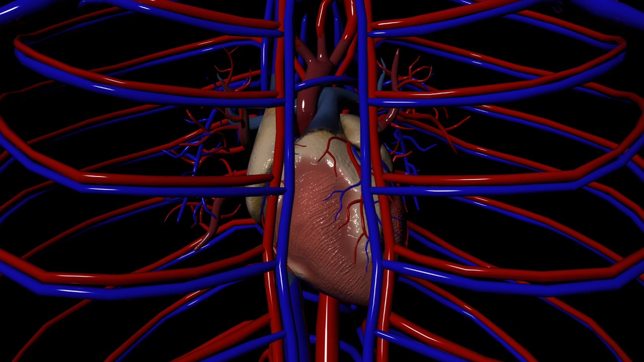 Class III Antiarrhythmics for Arrhythmias (irregular heartbeat)