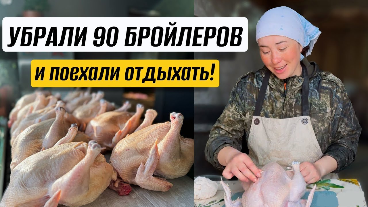 Майские будни на ферме Крапивиных