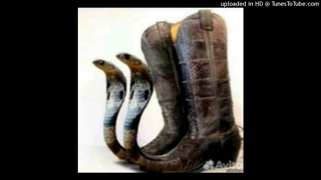 reggae plug type beat 🕌