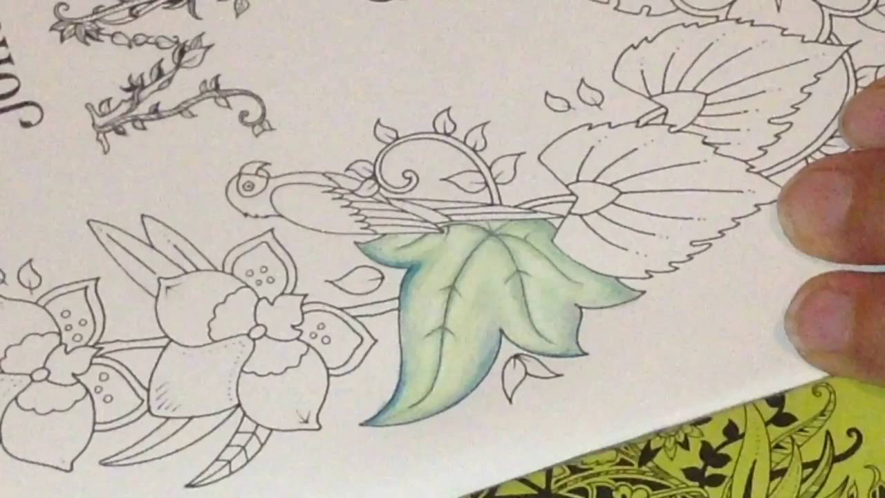 Magical Jungle by Johanna Basford Part 1 of Page 1 Colouring Leaves