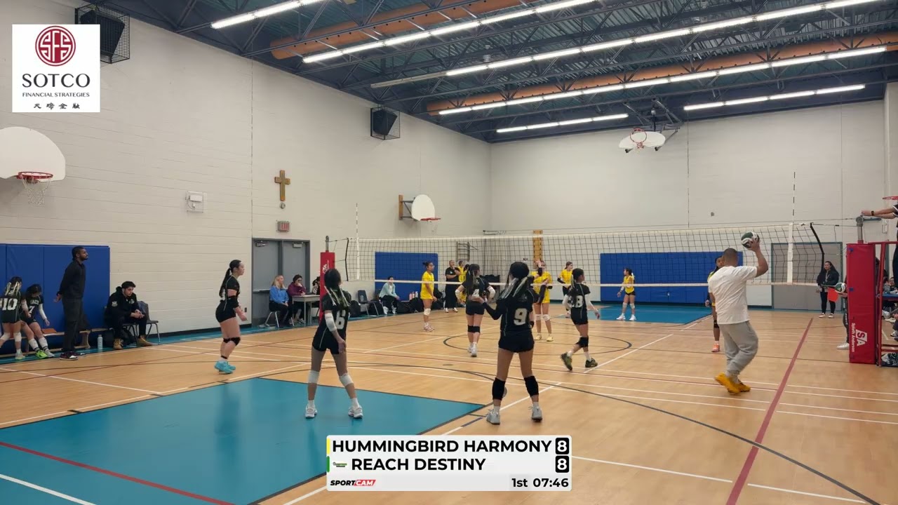 Hummingbird Harmony vs Reach Destiny 1/1