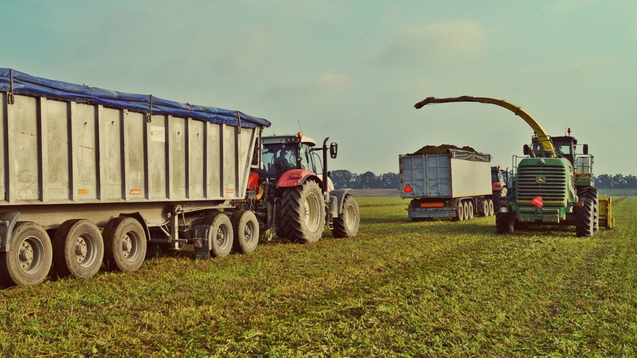 Sieczkarnia John Deere i wielkie przyczepy w zbiorze lucerny (2017)