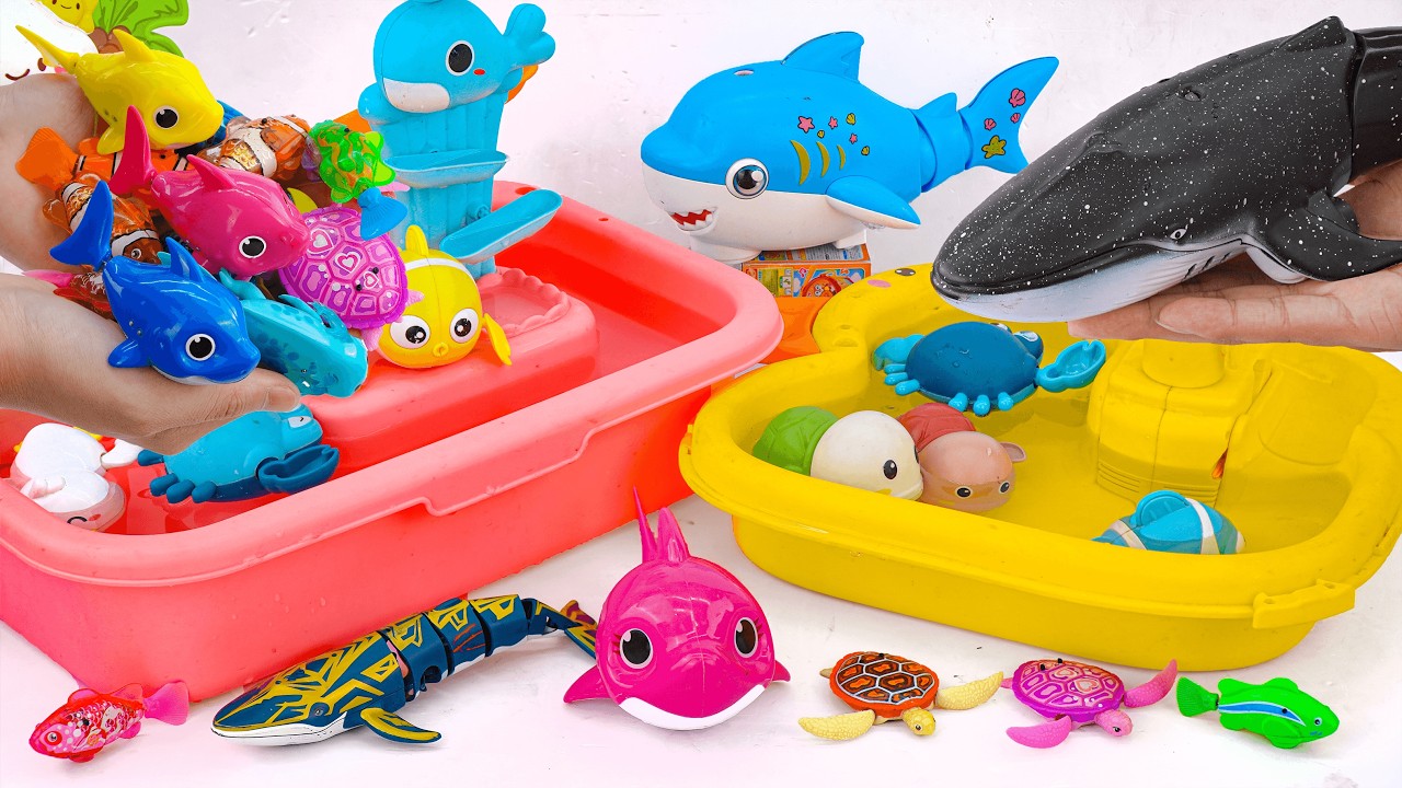[🐠Toy asmr🐠] Mosasaurus & Baby Shark & Ray &Aquarium Playset &RC Shark ASMR Satisfying with Unboxing