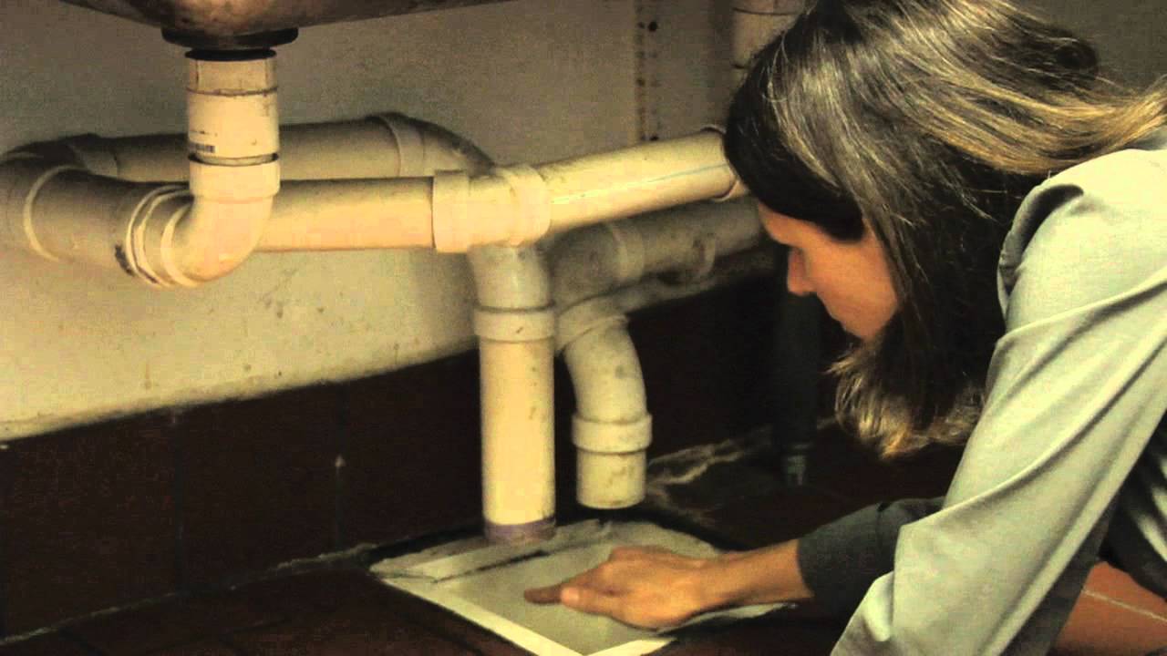 Health Inspection Coach training video