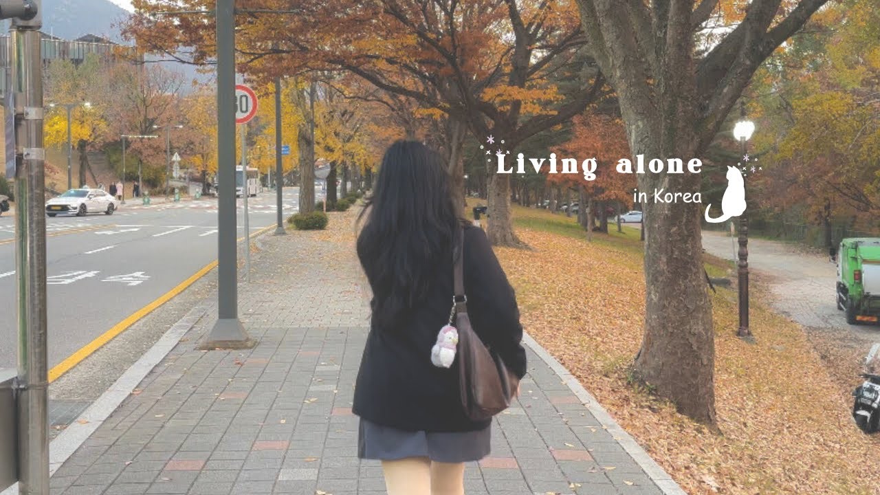 🐾 days in my life ❄︎ between calm and chaos ☾