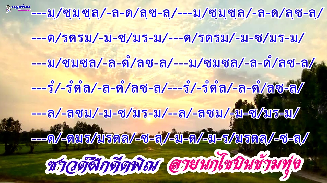 ซาวด์ซ้อมพิณลายนกไซบินข้ามทุ่ง Am ความเร็ว 90