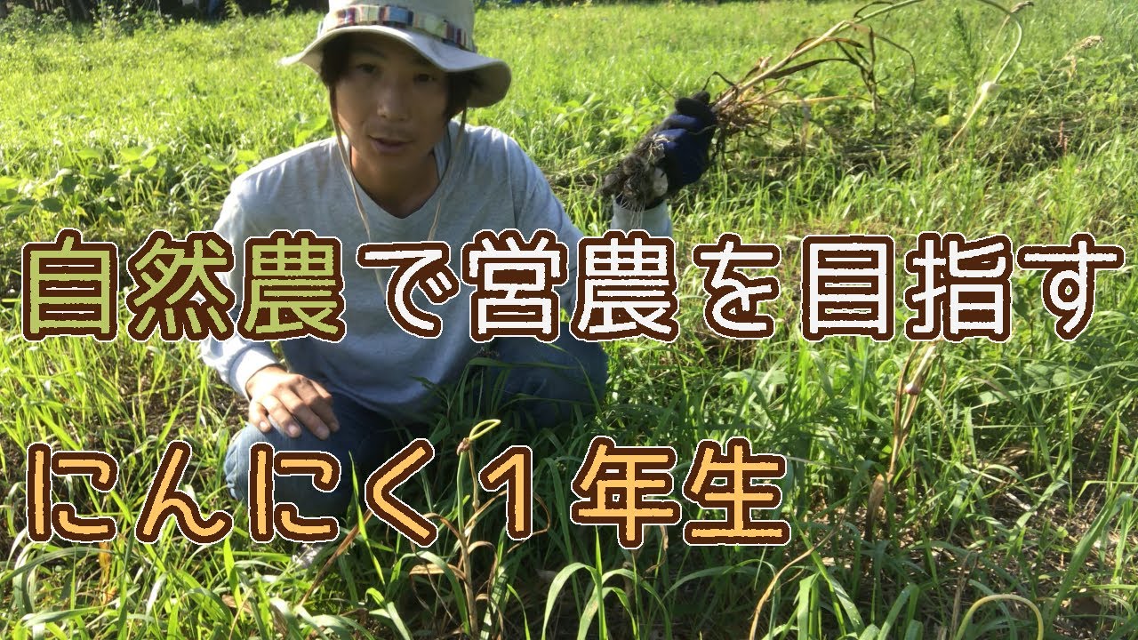 【自然農で営農を目指す】#34にんにく１年生