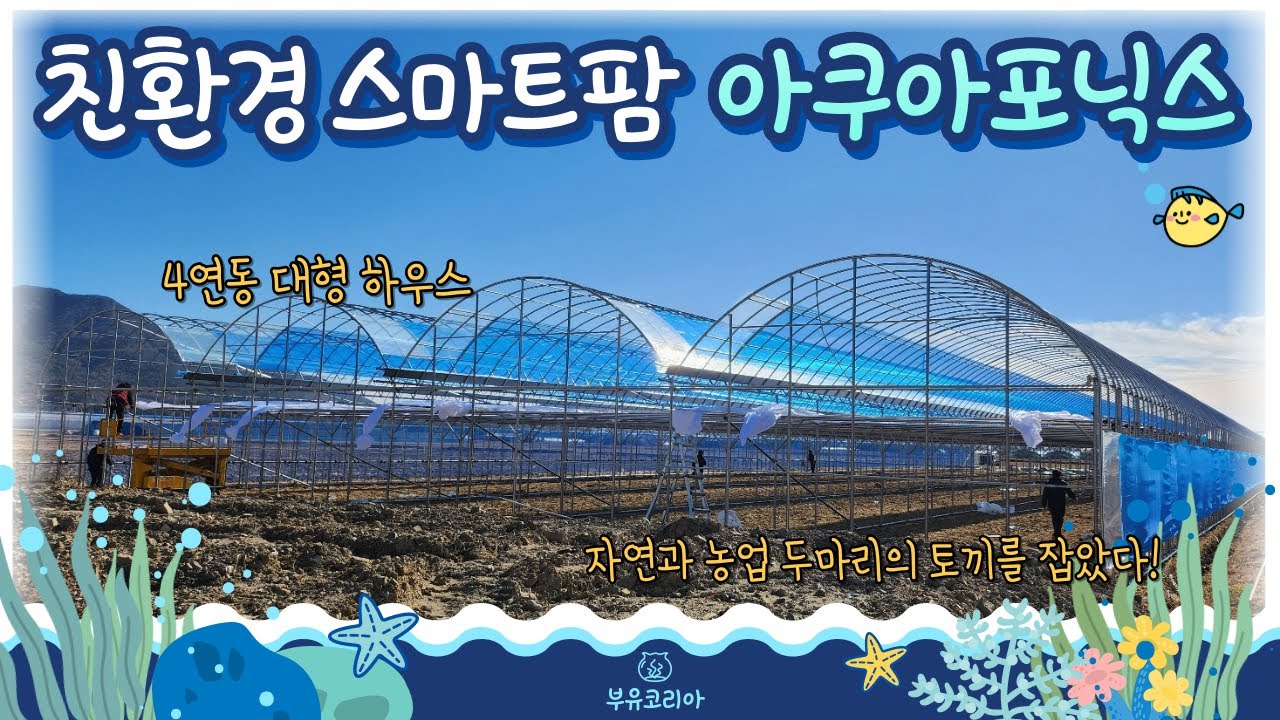 친환경 스마트팜 하우스 아쿠아포닉스!  | 부유코리아