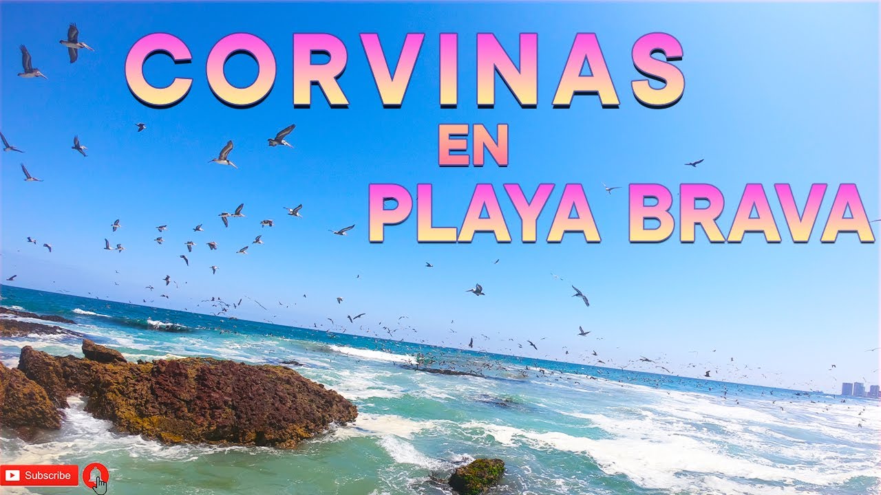 Pesca en Iquique - Playa Brava / Parte 1