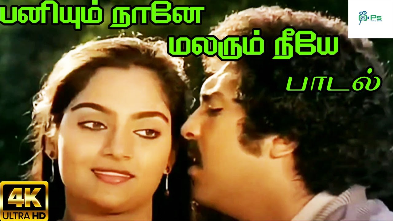 Paniyum Naane ||பனியும் நானே மலரும் நீயே || S. P. B,Jensi ||Love Duet H D Song